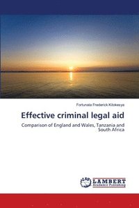 bokomslag Effective criminal legal aid