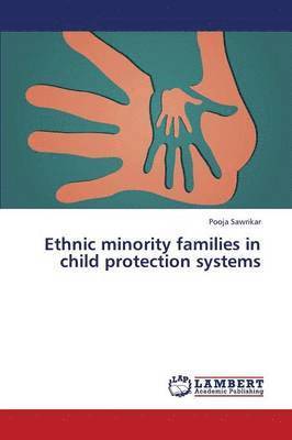 bokomslag Ethnic Minority Families in Child Protection Systems