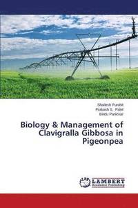 bokomslag Biology & Management of Clavigralla Gibbosa in Pigeonpea