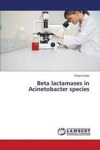 bokomslag Beta Lactamases in Acinetobacter Species