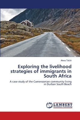 Exploring the livelihood strategies of immigrants in South Africa 1