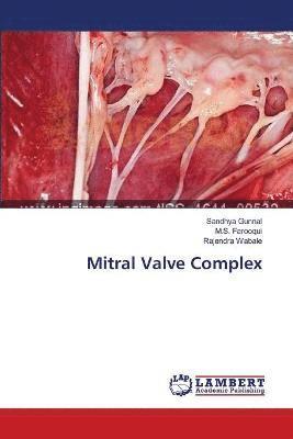 bokomslag Mitral Valve Complex