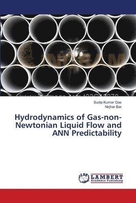 Hydrodynamics of Gas-non-Newtonian Liquid Flow and ANN Predictability 1