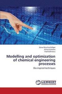 bokomslag Modelling and Optimization of Chemical Engineering Processes