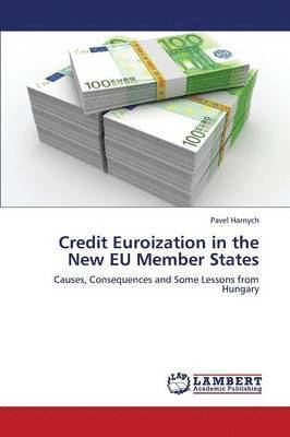 bokomslag Credit Euroization in the New Eu Member States