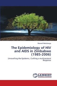 bokomslag The Epidemiology of HIV and AIDS in Zimbabwe (1985-2006)