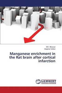 bokomslag Manganese Enrichment in the Rat Brain After Cortical Infarction