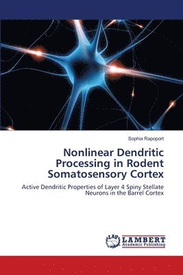 Nonlinear Dendritic Processing in Rodent Somatosensory Cortex 1