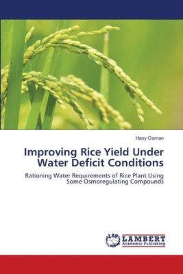 Improving Rice Yield Under Water Deficit Conditions 1