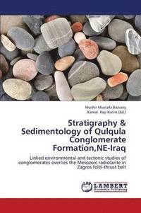 bokomslag Stratigraphy & Sedimentology of Qulqula Conglomerate Formation, Ne-Iraq