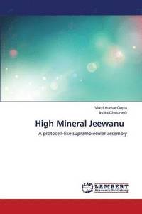 bokomslag High Mineral Jeewanu