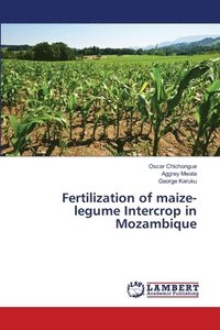 bokomslag Fertilization of maize-legume Intercrop in Mozambique