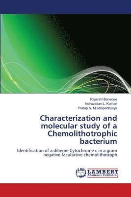 Characterization and molecular study of a Chemolithotrophic bacterium 1