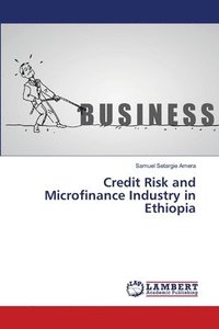 bokomslag Credit Risk and Microfinance Industry in Ethiopia