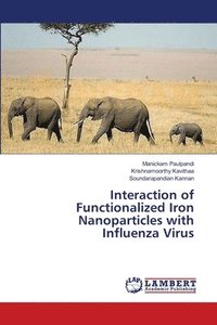 bokomslag Interaction of Functionalized Iron Nanoparticles with Influenza Virus