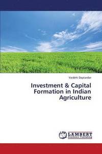 bokomslag Investment & Capital Formation in Indian Agriculture