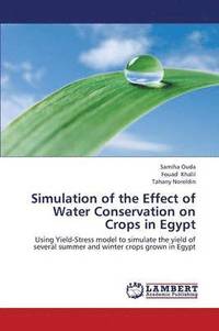 bokomslag Simulation of the Effect of Water Conservation on Crops in Egypt