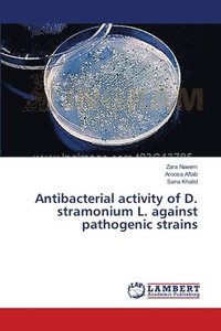 bokomslag Antibacterial activity of D. stramonium L. against pathogenic strains