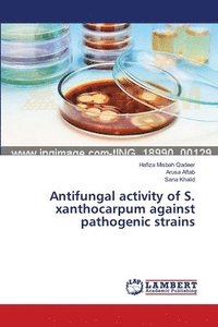 bokomslag Antifungal activity of S. xanthocarpum against pathogenic strains