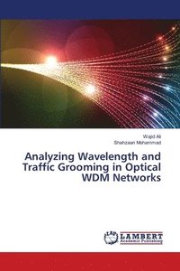 bokomslag Analyzing Wavelength and Traffic Grooming in Optical WDM Networks