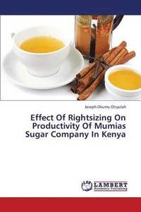 bokomslag Effect of Rightsizing on Productivity of Mumias Sugar Company in Kenya