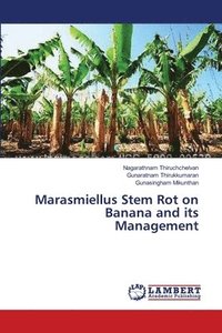 bokomslag Marasmiellus Stem Rot on Banana and its Management