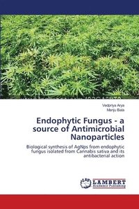 bokomslag Endophytic Fungus - a source of Antimicrobial Nanoparticles