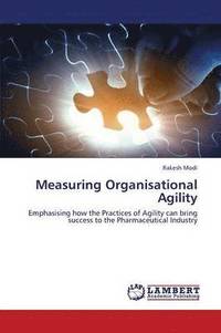 bokomslag Measuring Organisational Agility