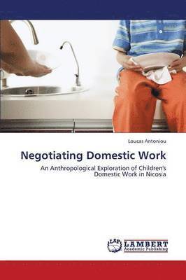 bokomslag Negotiating Domestic Work