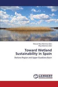 bokomslag Toward Wetland Sustainability in Spain
