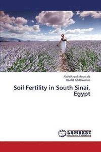 bokomslag Soil Fertility in South Sinai, Egypt