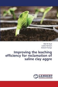 bokomslag Improving the leaching efficiency for reclamation of saline clay aggre