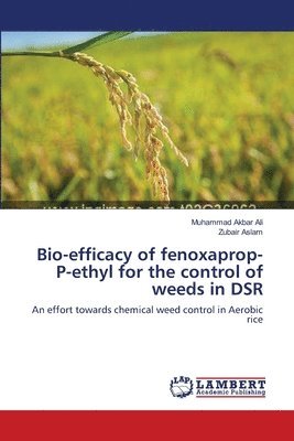 Bio-efficacy of fenoxaprop-P-ethyl for the control of weeds in DSR 1