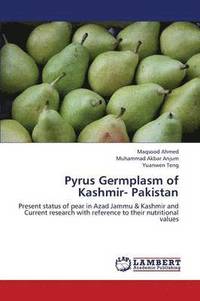 bokomslag Pyrus Germplasm of Kashmir- Pakistan