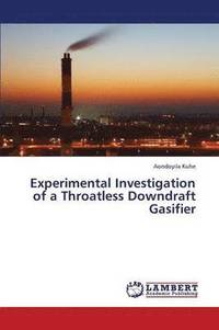 bokomslag Experimental Investigation of a Throatless Downdraft Gasifier
