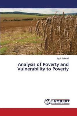Analysis of Poverty and Vulnerability to Poverty 1