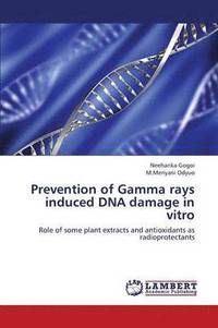 bokomslag Prevention of Gamma Rays Induced DNA Damage in Vitro