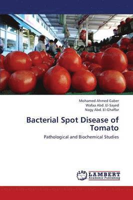 Bacterial Spot Disease of Tomato 1