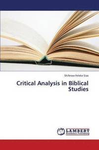 bokomslag Critical Analysis in Biblical Studies