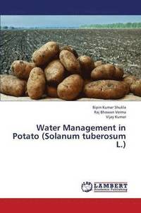 bokomslag Water Management in Potato (Solanum Tuberosum L.)