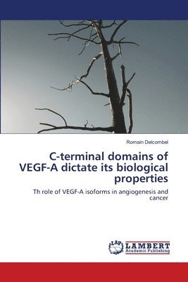 C-terminal domains of VEGF-A dictate its biological properties 1
