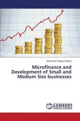 bokomslag Microfinance and Development of Small and Medium Size businesses