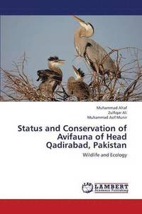bokomslag Status and Conservation of Avifauna of Head Qadirabad, Pakistan