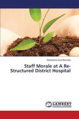 bokomslag Staff Morale at a Re-Structured District Hospital