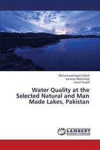 bokomslag Water Quality at the Selected Natural and Man Made Lakes, Pakistan