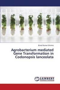 bokomslag Agrobacterium Mediated Gene Transformation in Codonopsis Lanceolata