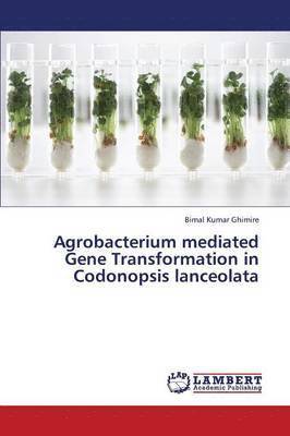 Agrobacterium Mediated Gene Transformation in Codonopsis Lanceolata 1