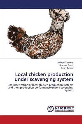 Local chicken production under scavenging system 1