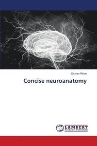 bokomslag Concise neuroanatomy