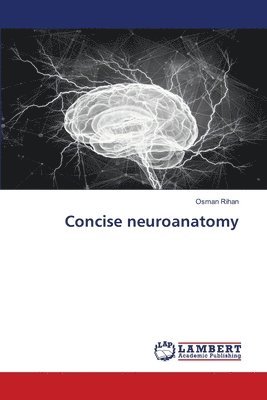 Concise neuroanatomy 1